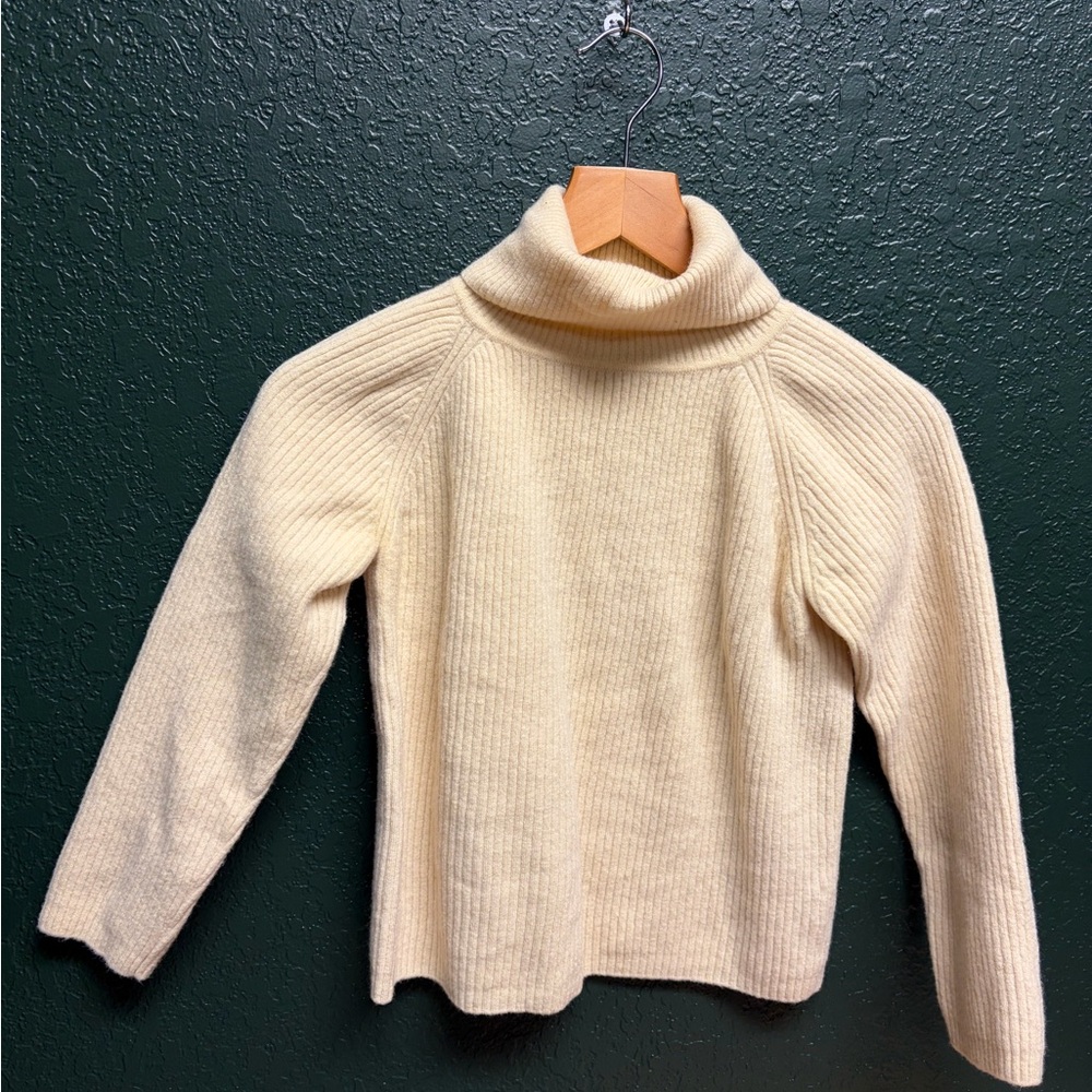 DKNY 100% Wool Crop Turtleneck Sweater